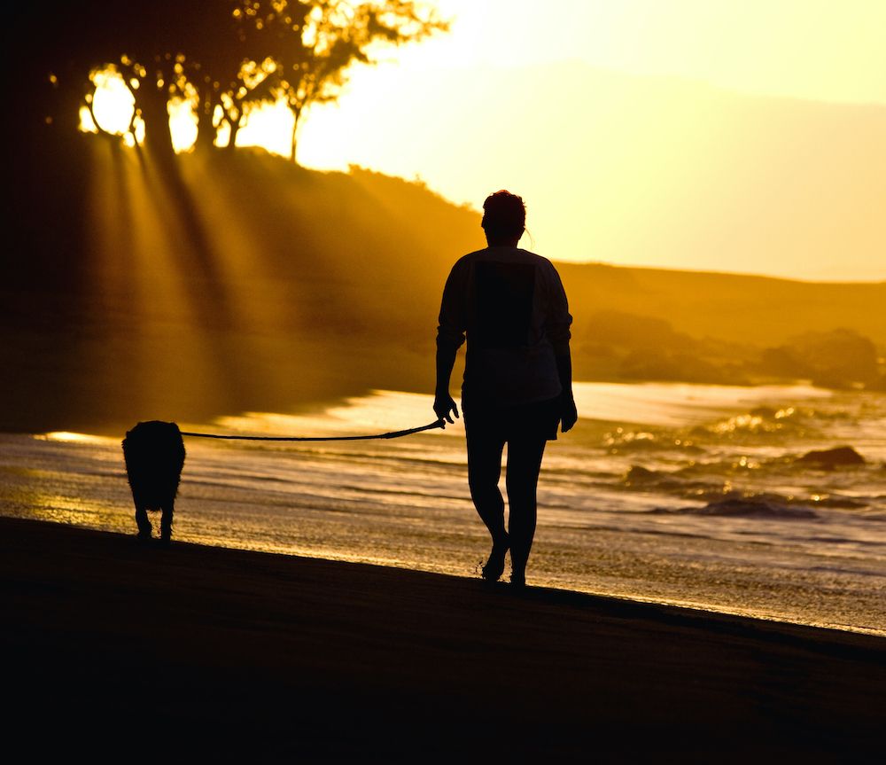 The Gossip Column: April 8, 2022